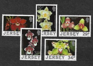 STORCZYKI JERSEY MI.425-429**