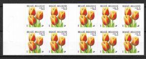 TULIPANY BELGIA MI.2958**ZESZYCIK