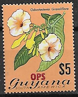 KWIATY GUYANA MI.11**