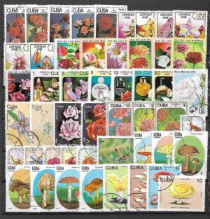 ZESTAW ZNACZKÓW KUBA NR 36