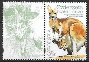 FI.5062**Z PRZYWIESZKĄ