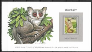 LIS SENEGALSKI RWANDA KOLEKCJA ZWIERZĄT ŚWIATA NA KARCIE