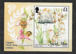 GRZYBY WYSPA MAN MI.BL.24**