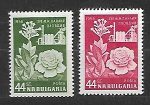 RÓŻE BUŁGARIA MI.994-995**