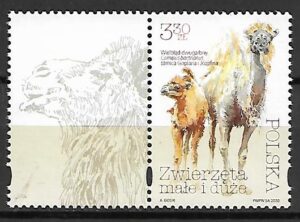 FI.5063**Z PRZYWIESZKĄ NR 2