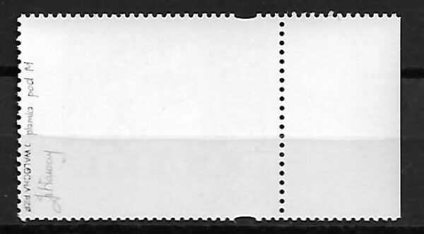 FI.3530**PLAMA POD M GWARANCJA I OPIS J.WALOCHA - obrazek 2