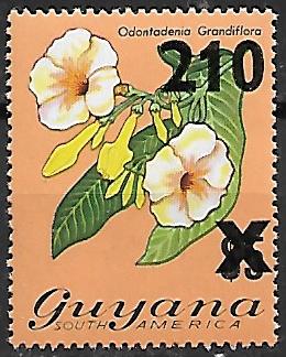 KWIATY GUYANA MI.631**LUZAK