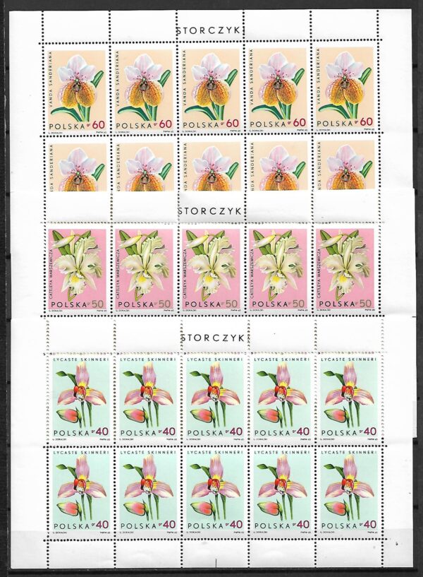 FI.ARK.1463-1471**KOMPLET - obrazek 2