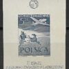 FI.711**ND ZNACZEK Z BLOKU GWARANCJA H. JENDROSZEK