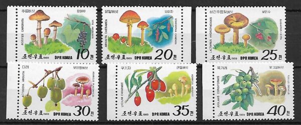 GRZYBY KOREA MI.2999-3004**