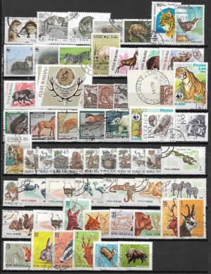 ZESTAW ZNACZKÓW ZWIERZĘTA NR 3