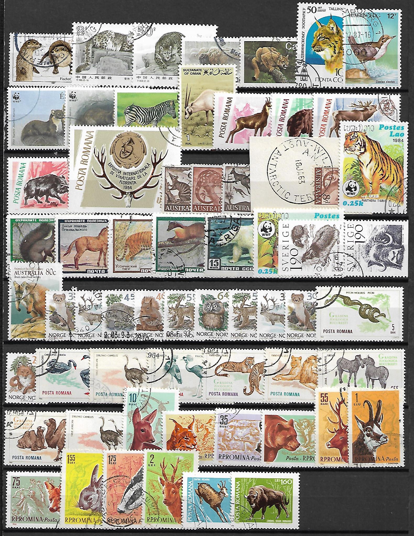 ZESTAW ZNACZKÓW ZWIERZĘTA NR 3