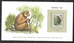 MAKAK ALGIERSKI KOLEKCJA ZWIERZĄT ŚWIATA NA KARCIE