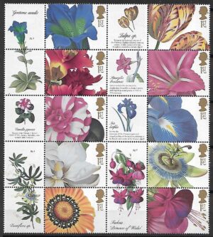 KWIATY ANGLIA MI.1667-1676**Z PRZYWIESZKAMI