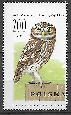 FI.3146**MAKULATURA GWARANCJA J. WALOCHA