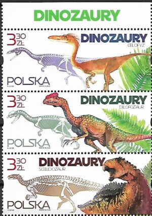 FI.5111-5109**KOMBINACJA