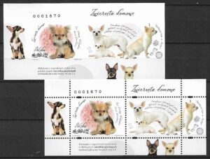 ZWIERZETA DOMOWE FI.5461**ND