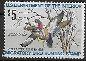 KACZKI KAROLINA USA **