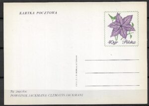 Cp.FI.435**WYSTAWA KWIATÓW-DNI ŻYWIECCZYZNY