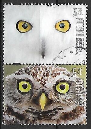 FI.4812-4813 KASOWANY