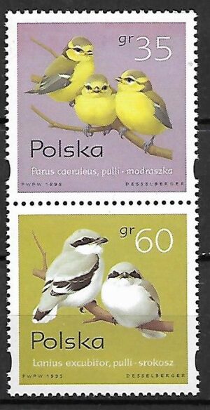 FI.3419/3421** PIONOWA