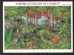 PÓŁNOCNO-WSCHODNIE LASY LIŚCIASTE USA MI.ARK.3907-3916**