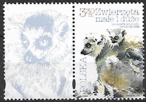 FI.5064**Z PRZYWIESZKĄ