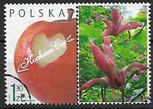 FI.4078 KASOWANY PRZYWIESZKA Z PRAWEJ STRONY