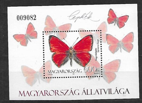 MOTYLE WĘGRY MI.BL.343**