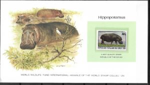 HIPOPOTAM KONGO KOLEKCJA ZWIERZĄT ŚWIATA NA KARCIE