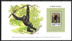 SZYMPANS KONGO KOLEKCJA ZWIERZĄT ŚWIATA NA KARCIE