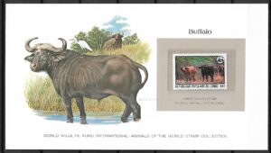 BAWÓŁ AFRYKAŃSKI KONGO KOLEKCJA ZWIERZĄT ŚWIATA NA KARCIE