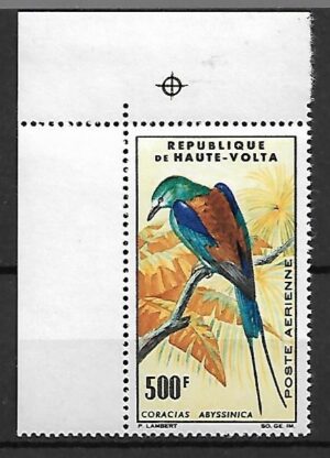 PTAK GÓRNA WOLTA MI.160**