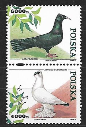 FI.3366-3364**KOMBINACJA