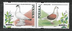 FI.3364-3363**KOMBINACJA