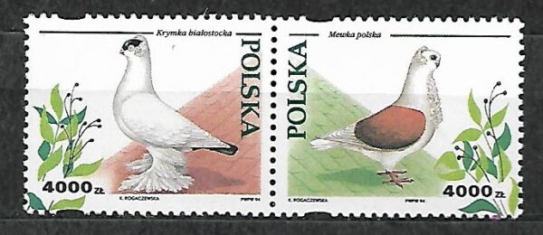 FI.3364-3363**KOMBINACJA