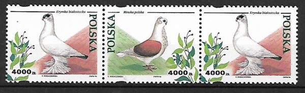 FI.3364-3363-3364**KOMBINACJA