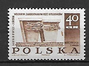 FI.1671**PLAMA ZA POMNIKIEM  GWARANCJA I OPIS J.WALOCHA