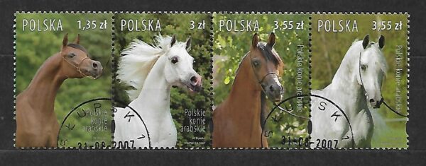 FI.4173-4176  PASEK KASOWANY