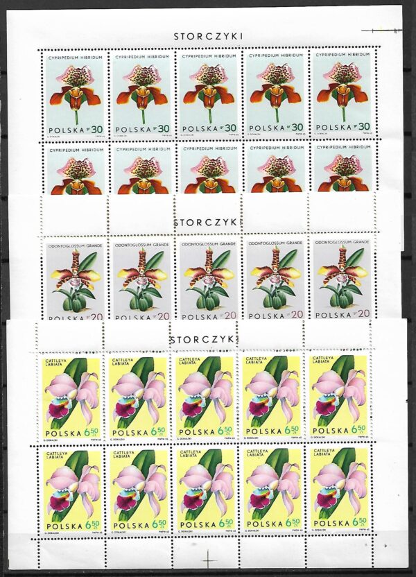 FI.ARK.1463-1471**KOMPLET - obrazek 3