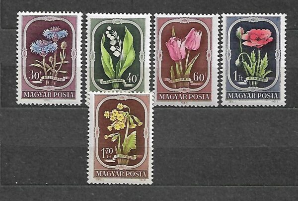 KWIATY WĘGRY MI.1208-1212**