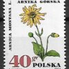 FI.1623**PLAMA NA LIŚCIU GWARANCJA J.WALOCHA