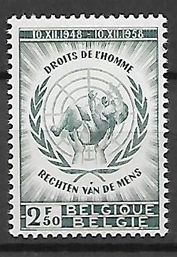 PRAWA CZŁOWIEKA BELGIA MI.1142**