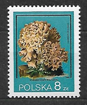 FI.2549B1**GWARANCJA