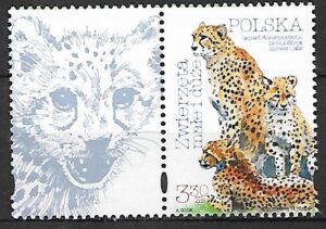 FI.5061**Z PRZYWIESZKĄ