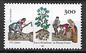 WYKOPKI ZIEMNIAKÓW RFN MI.1946**
