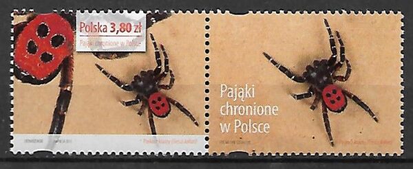 FI.4506**Przywieszka z Prawej Strony