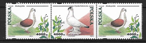 FI.3363-3364-3363**KOMBINACJA