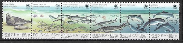 FI.3558-3563**PASEK