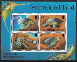 ŻÓŁWIE ASCENSION MI.BL.26**